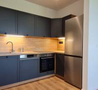 Konyha egy kétszobás lakásban sötétszürke szekrényekkel, fa dekorációval és rozsdamentes acél készülékekkel.