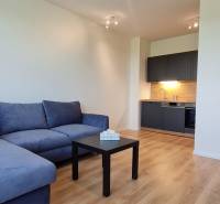 Kétszobás lakás kék kanapéval, sötét konyhával és fa mintázatú padlóval.