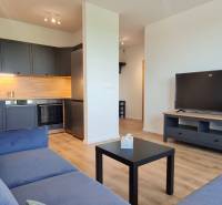 Nappali konyhasarokkal, szürke kanapéval és fa dekorációjú padlóval egy kétszobás lakásban.