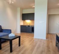 Nappali egy kétszobás lakásban kék kanapéval, konyhasarokkal és fa dekorációjú padlóval.