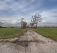 Földút fákkal körülvéve lakóövezetre szánt telkeken Jatovban, a Jatov utcában.