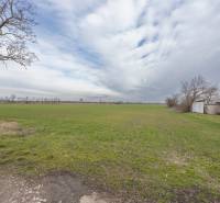 Zöld lakótelek Jatovban, a Jatov utcában, csupasz fákkal.