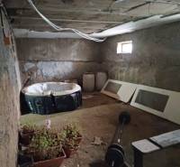 A családi ház pincéjében cserepes növények, pezsgőfürdő, bárok és építőanyag található.