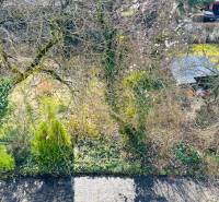 Kert buja növényzettel és egy kis menedékkel a Hviezdoslav utca Michalovce.