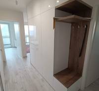 Folyosó egy 3 szobás lakásban fehér szekrényekkel és beépített gardróbbal fa dekorációval.