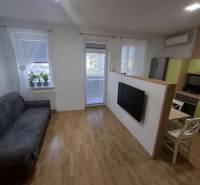 Nappali egy kétszobás lakásban kanapéval, televízióval, fa dekoros padlóval és erkéllyel.