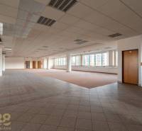 Tágas irodák ablakokkal, fa mintázatú padlóval és oszlopokkal.