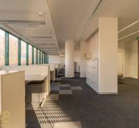 Világos irodák nagy ablakokkal és irodai bútorokkal, fa dekorációjú padlóval.