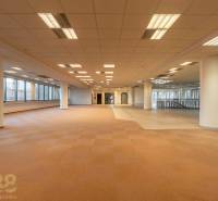 Tágas irodai tér szőnyegpadlóval és oszlopokkal, ideális kihasználásra.