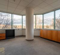 Priestranné kancelárie s veľkými oknami a výhľadom na mesto, podlaha dlaždicová.