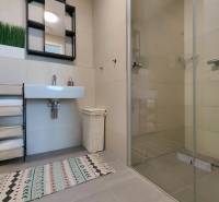 Fürdőszoba egy kétszobás lakásban mosdóval, tükörrel, zuhanyzóval és szőnyeggel.