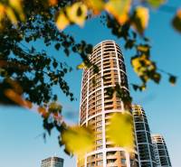 Magas épület levelekkel körülvéve a Továrenská utcán, Óváros, Pozsony.