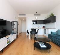 Nappali konyhával egy 2 szobás lakásban, fa dekorációjú padló, TV és ülőgarnitúra.