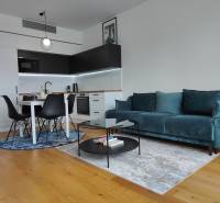 Nappali konyhasarokkal, türkiz kanapéval, fa dekorációval és étkezőasztallal.