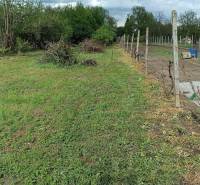 Szőlőskert és füves terület családi ház mellett Felsőszelib községben.