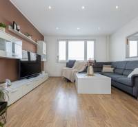 Nappali kanapéval, televízióval és fa dekorációjú padlóval egy 4 szobás lakásban.