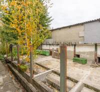 Őszi kert egy családi ház mellett Nagydobronyban, színes falevelekkel a fákon.