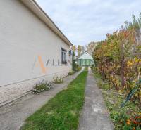 A járda a nagyudvarnoki családi ház mentén halad, egy növényekkel teli kerttel.