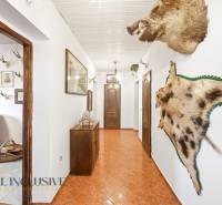 A7400005 (1) (1).jpg