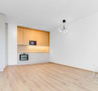 Konyha fa hatású padlóval egy kétszobás lakásban, fehér mennyezet, modern világítás.