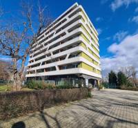 Egy hét emeletes lakóház Komáromban, fákkal körülvéve és burkolt járdával.