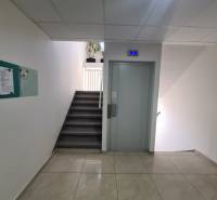 Lépcsőház lifttel, burkolattal és növényekkel egy kétszobás lakásban.