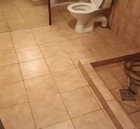 Fürdőszoba családi házban WC-vel, mosdóval és padlócsempével.