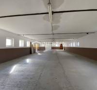 Tágas raktár és csarnok belső tér ablakokkal mindkét oldalon, betonpadlóval.