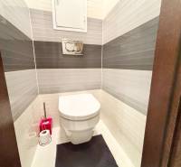 Toalett egy kétszobás lakásban fehér és szürke csempékkel a falakon.