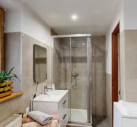 Fürdőszoba növényekkel, zuhanyzóval és mosdóval egy családi házban.