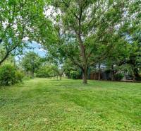 Zöldterület és fák a lakóövezet telkein a Bernolákovo-i Okružná utcában.