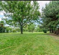 Zöldterület és fák a Bernolákovo-i lakótelek telkén az Okružná utcában.