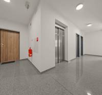 Bejárati folyosó ajtókkal és lifttel egy 4 szobás lakásban, fa dekorációjú padlóval.