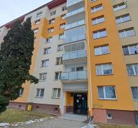 Egy hét emeletes lakóház a Za dráhou utcában, Rózsahegyen, fákkal körülvéve.