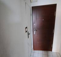 Az egyszobás lakás bejárati ajtaja csempével és fehér falakkal.