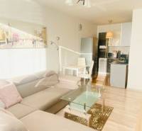 Nappali kanapéval és konyhával, 2 szobás lakás, fa mintázatú padló.