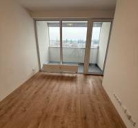 Nappali egy egyszobás lakásban, fa dekorációjú padlóval és nagy ablakokkal.