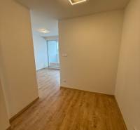 Egy szobás lakás folyosója fa mintázatú padlóval és modern világítással.