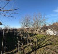 Építési telek a Szentpéter temető utcájában gyümölcsfákkal.