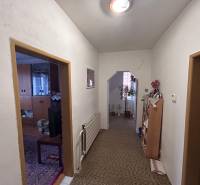 Folyosó szőnyeggel és szobanövényekkel egy családi házban.