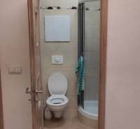 Fürdőszoba egy egyszobás lakásban WC-vel, zuhanyzóval és csempével.