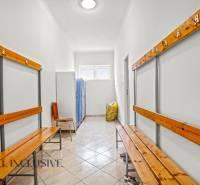 17 - 2025-12-09T103214.504.jpg