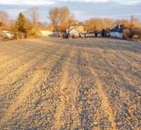 WhatsApp Image 2026-02-09 at 11.39.53.jpeg