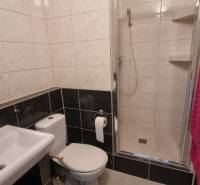 Fürdőszoba mosdóval, WC-vel és zuhanyzóval egy egyszobás lakásban.