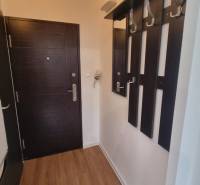 Előszoba fa dekor padlóval és sötét bútorokkal, 1 szobás lakás.