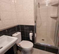 Fürdőszoba zuhanyzóval és WC-vel egy egyszobás lakásban, sötét tónusokban.