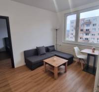 Nappali egy egyszobás lakásban kanapéval, asztallal, székkel és fa dekorációjú padlóval.