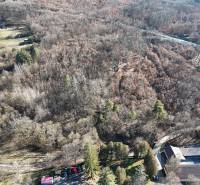 Fás vidék Krupinában, alkalmas telkekre - lakhatásra.