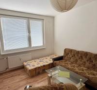 A garzonlakás tartalmaz egy kanapét, egy fotelt, egy dohányzóasztalt, fa dekorációjú padlót és egy nagy ablakot.