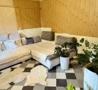 Családi ház belső tere sarokkanapéval, növényekkel és mintás, fa dekorációjú padlóval.